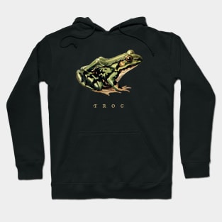 Cottagecore Frog: Celebrating the Charm of Nature and Goblincore Aesthetics Hoodie